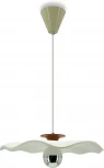 Подвесной светильник Lightera Colorado LE101L-40R (LED, 220V, на проводе)