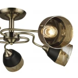 Потолочная люстра Wedo Light Grosseto 66440.01.05.05