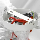 Потолочная люстра Lussole Lgo Pinal GRLSP-8132