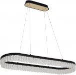 Потолочный светильник F-Promo Lunetta 4187-1U (LED, 220V, подвески, пульт управления, на тросе)