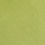 Стул Leo светло-зелёный Bradex Home RF 0368