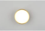 Накладной светильник Omnilux Abano OML-103329-12 (LED, 220V, круглые)
