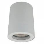 Накладной точечный светильник Denkirs DK3007 DK3007-WH (220V, IP44)