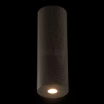 Потолочный светильник круглый DeMarkt Иланг 712010501 (LED, 220V)