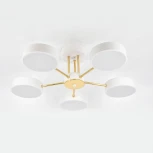 Потолочная люстра на штанге с таймером Escada Rune 10262/5LED 64Вт, с ПДУ, металл/акрил, белый/золото (220V)