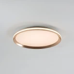 Потолочный светильник светодиодный с пультом с регулировкой цветовой температуры LED4U LED4U L3020-400 GD