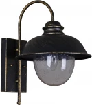 Настенный фонарь уличный Reluce 08300-9.2-001SJ BKG (220V, фонарь, IP54)