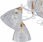 Потолочная люстра на штанге Arte Milano AMALFI-321395 321395/5A WH+FG (220V)