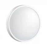 Настенно-потолочный светильник Sonex Smalli 3014/AL