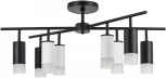 Люстра потолочная на штанге Rullo LR7283743641 (571728+214437-4+214436-4+202431-8) Lightstar (220V)