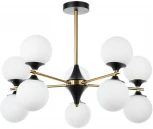 Потолочная люстра Arte Lamp Mimosa A3649PL-10PB