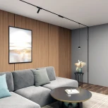 Трековый светильник магнитный 48V Denkirs Air Hang DK5376-BK (LED, шар)