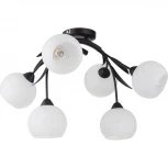 Потолочная люстра Lussole Loft Bagheria GRLSF-6283-06