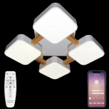 Потолочная люстра Natali Kovaltseva LED LAMPS 81323