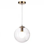 Подвесной светильник Lumion Blair 3769/1A