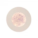 Встраиваемый точечный светильник DeMarkt Стаут 702012001 (LED, 220V)