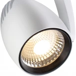 Трековый светильник Novotech Zeus 357869