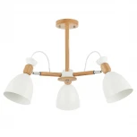 Потолочная люстра Evoluce Balcamo SLE103802-03 (220V)