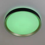 Потолочный светильник RGB круглый светодиодный с пультом Citilux Boss CL751351G (220V, круглые)