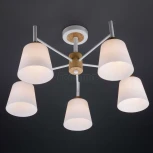 Потолочная люстра Eurosvet Fresco 70085/5 белый (220V)