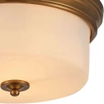 Потолочный светильник круглый Arte Lamp Alonzo A1735PL-3SR (220V)