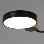 Потолочная люстра на штанге светодиодная Reluce 03326-0.3-05 BK+WOOD