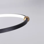 Подвесной светильник Favourite Tornado 4569-2P (LED, 220V, на тросе, кольцо)