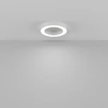 Потолочный светильник круглый светодиодный Maytoni Lua C093CL-36W4K-W (220V, круглые)