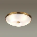 Настенно-потолочный светильник Odeon Light Pelow 4956/5 (220V, круглые)