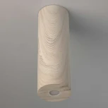 Потолочный светильник круглый DeMarkt Иланг 712011001 (LED, 220V)