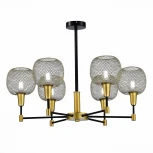 Потолочная люстра на штанге Elitis SLE1137-402-06 Evoluce