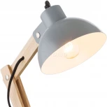 Интерьерная настольная лампа Globo Tongariro 21503 (для детской, 220V, выключатель)