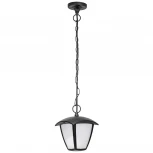 Уличный светильник подвесной Lightstar Lampione 375070 (LED, 220V, на цепи, IP54)