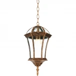 Уличный светильник подвесной Feron Неаполь 11618 (220V, на цепи, IP44)