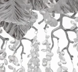 Потолочная люстра Arte Milano Milan23 235001/D700/6/D Cr (220V)