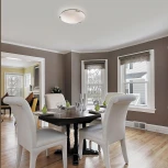 Настенно-потолочный светильник Sonex Greca 161/K (220V)