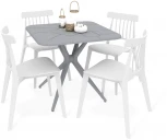 Обеденная группа SHT-DS198 серый/белый Sheffilton 9616813901