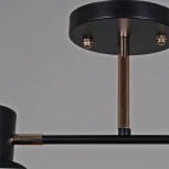 Потолочная люстра на штанге Reluce 06074-3.3-02 BK+FG (220V)