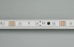 Светодиодная лента Arlight SPI-5000 021227