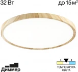 Настенно-потолочный светильник Citilux Бейсик CL738322V (регулировка яркости, LED, 220V, круглые, IP40)