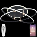 Потолочная люстра Natali Kovaltseva LED LAMPS 81235 (регулировка яркости, 220V, пульт управления, кольцо)