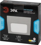 Точечный светильник светодиодный ЭРА LED 20-12-6K (220V, IP40)