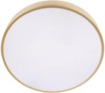 Потолочные светильники Loft It Flims 10228/A (LED, 220V, круглые)