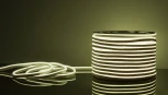 Светодиодная лента Elektrostandard Гибкий неон 220V 9,6W 120Led 2835 IP67 односторонний холодный белый, 50 м