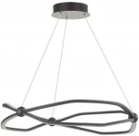 Подвесная люстра Odeon Light L-Vision 5000/45L