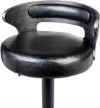 Стул барный DOBRIN FRED BLACK (чёрное дерево, чёрный) 1018_BlackBase-LMZ BLACK, цвет сиденья черный, каркаса черное основания черный