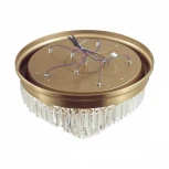 Потолочная люстра Lumion Zaha 5257/8C латунь/хрусталь металл/прозрачный Е14 8*40W 220V (круглые)