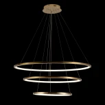 Подвесной светильник Loft IT Ring 10015/3 (LED, 220V, на тросе, кольцо)