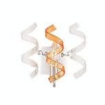 Бра Citilux Рандом CL222322 (220V)