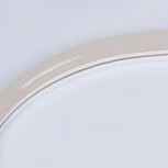 Светодиодная лента Arlight ARL-NEON 030856